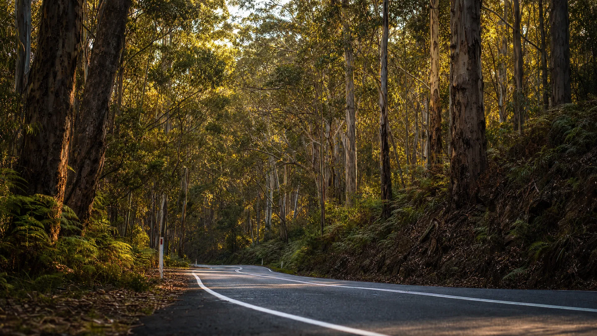 Oxley Highway