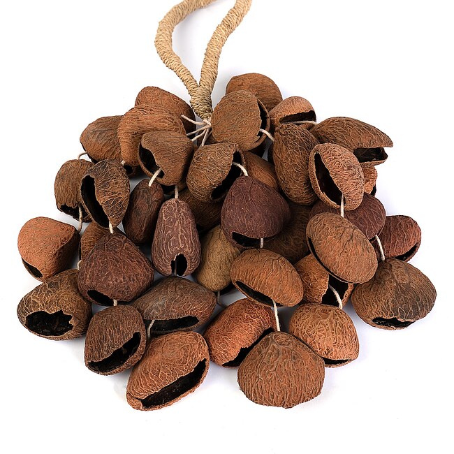 SELA SESDS3 Seed Shaker 4-row Pangi Klangeffekt - Bild 3