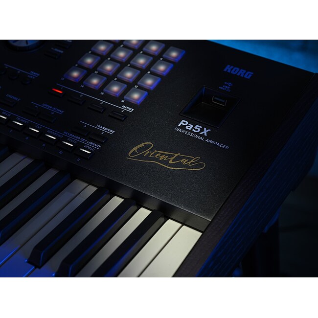 KORG PA5X61OR Oriental Entertainer Workstation Keyboard - Bild 9
