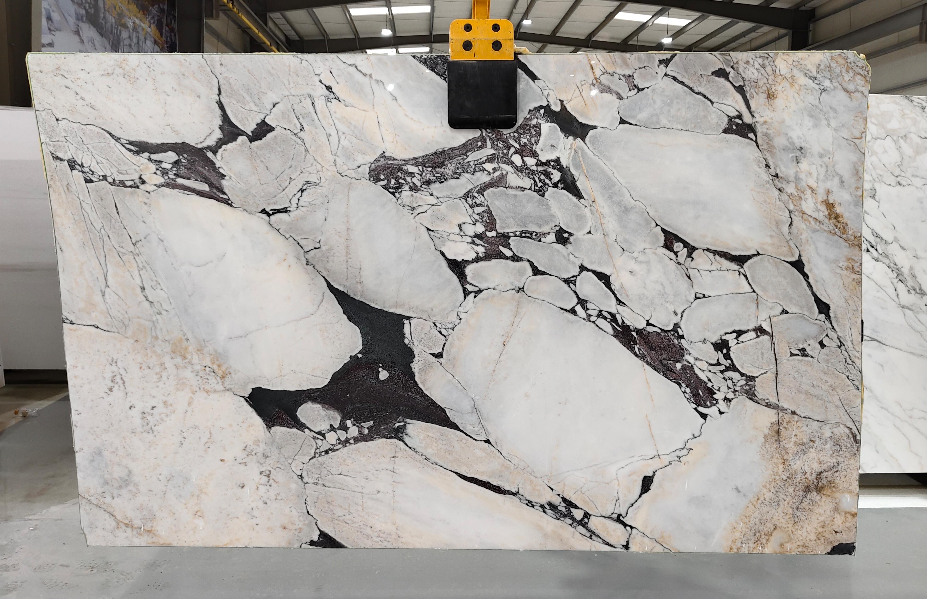 Calacatta Viola Marble view 2