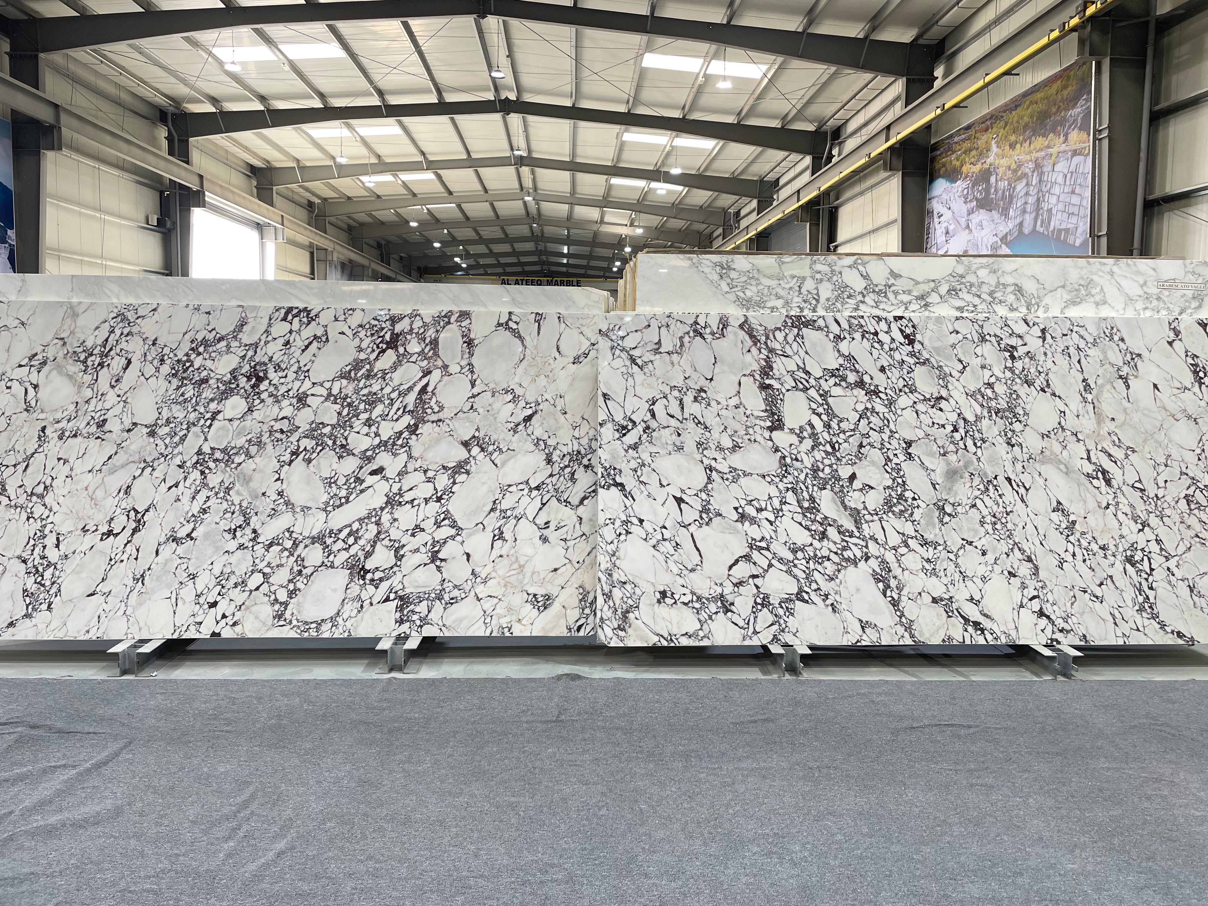 Calacatta Viola Marble