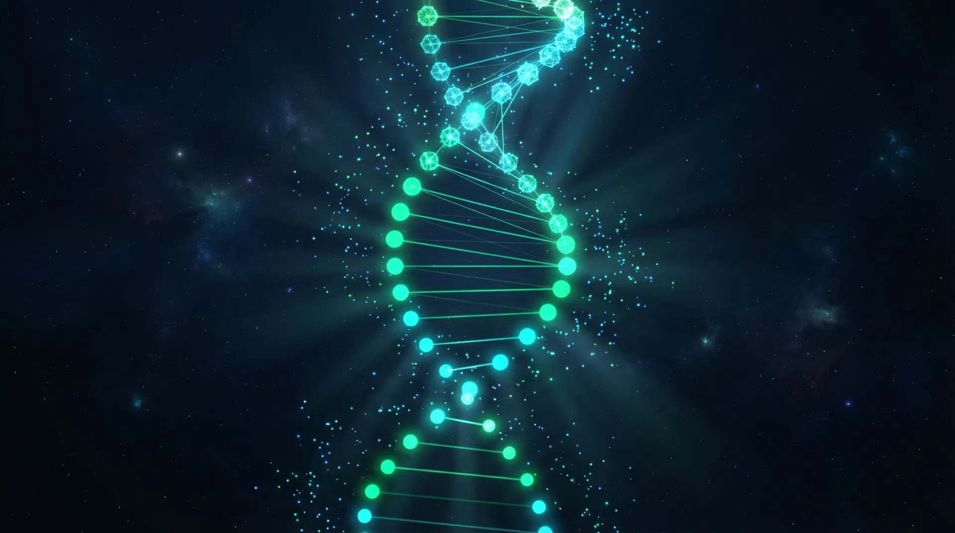 原生自进化能力