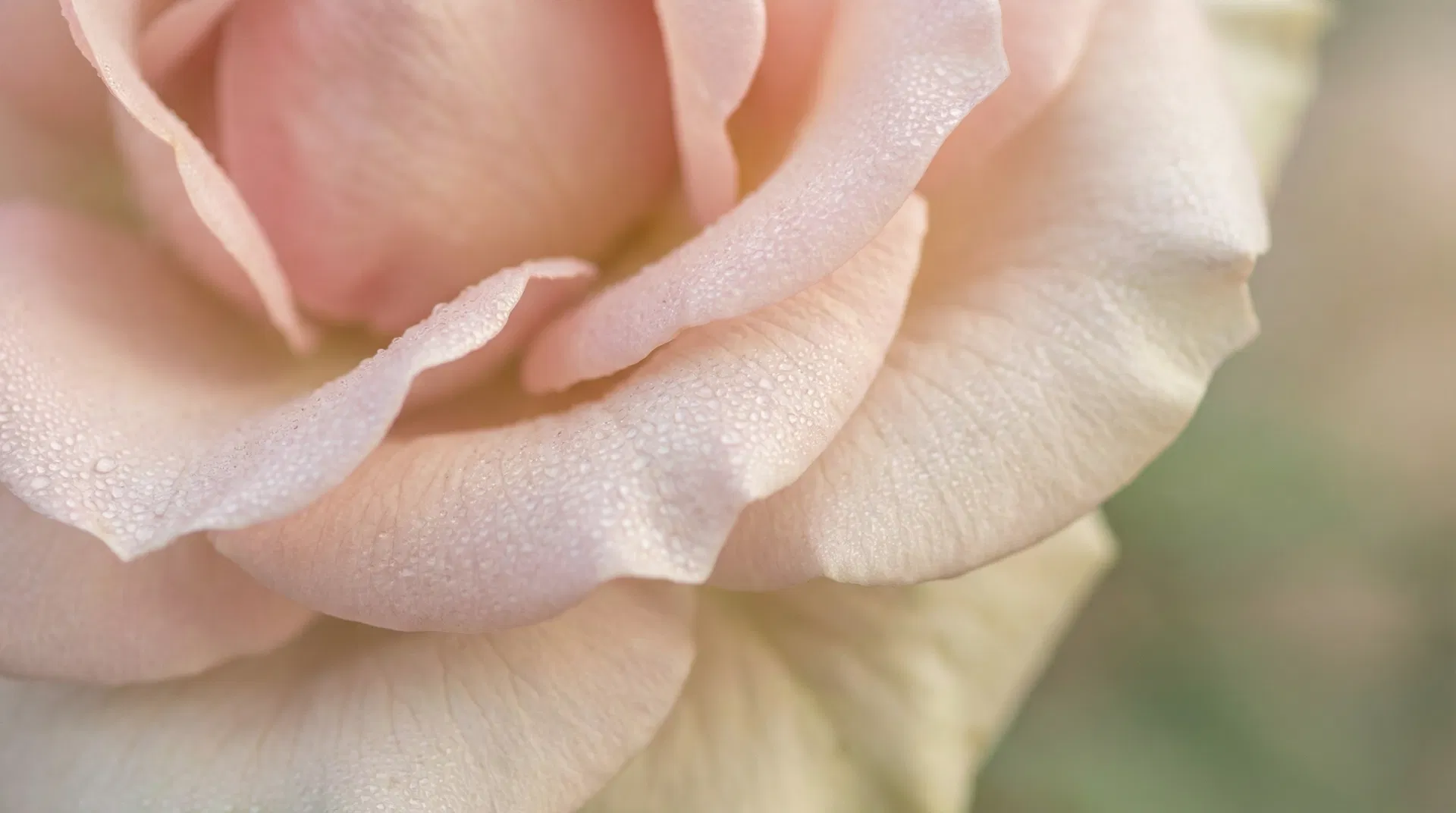 The Science of Anti-Aging Skincare: Key Ingredients That Work