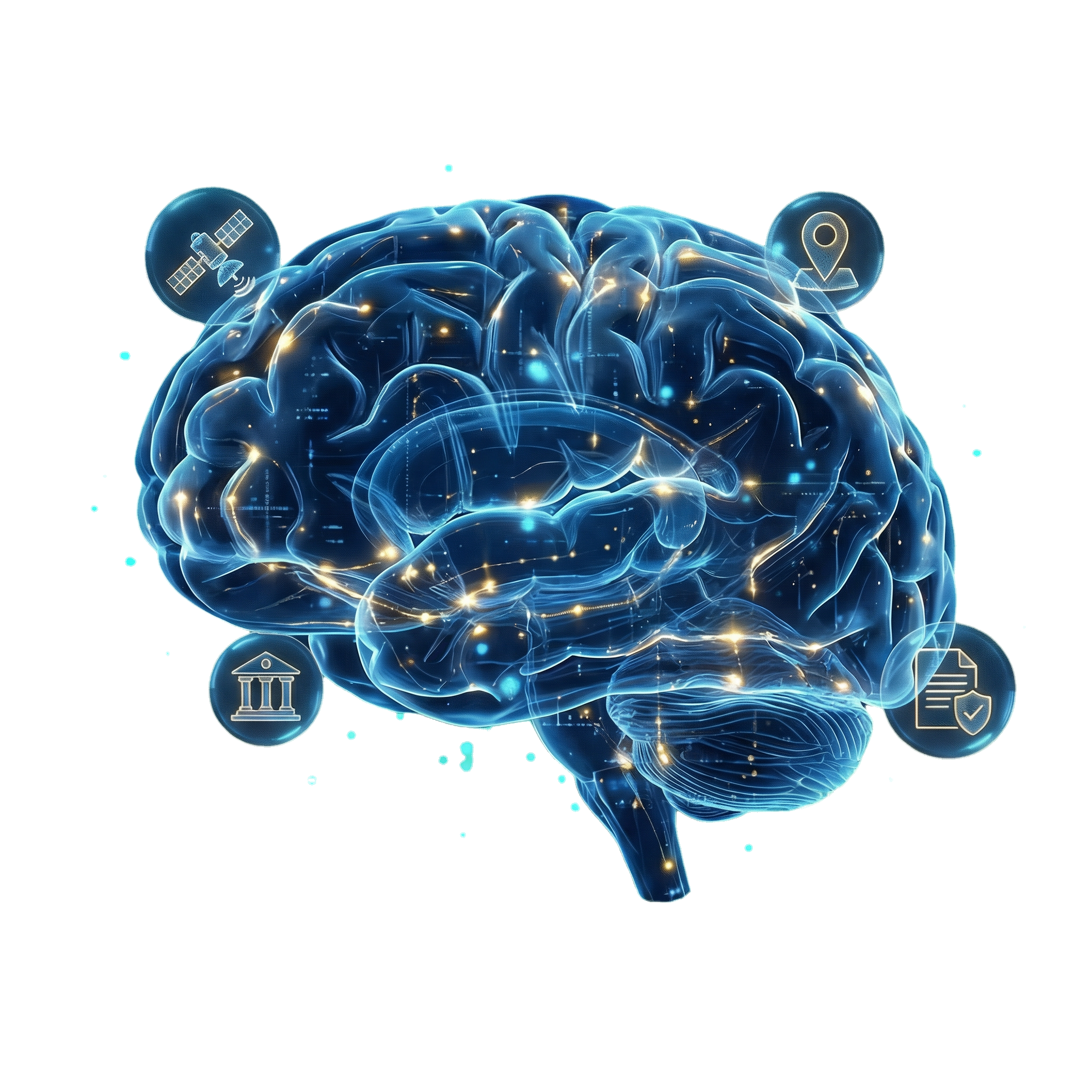 朗慧三资智慧大脑