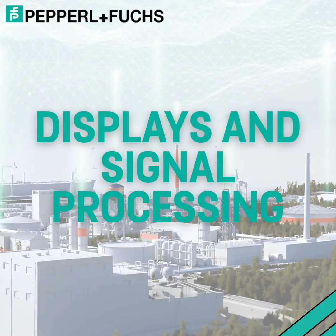 Displays and Signal Processing