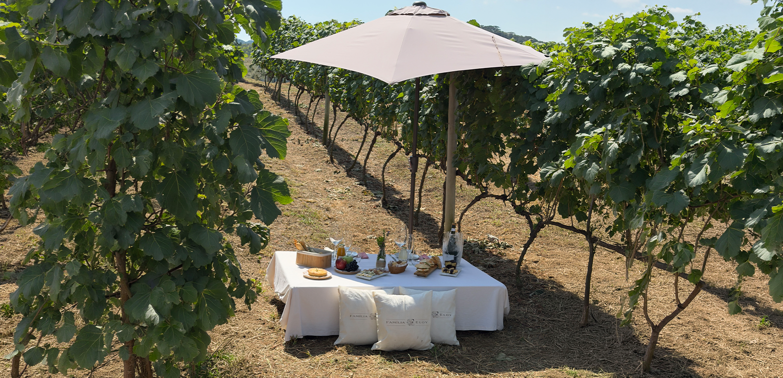 Picnic entre vinhedos, foto 1