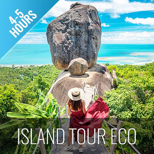Pig Island Snorkeling & Sightseeing Tour By Speedboat From Koh Samui