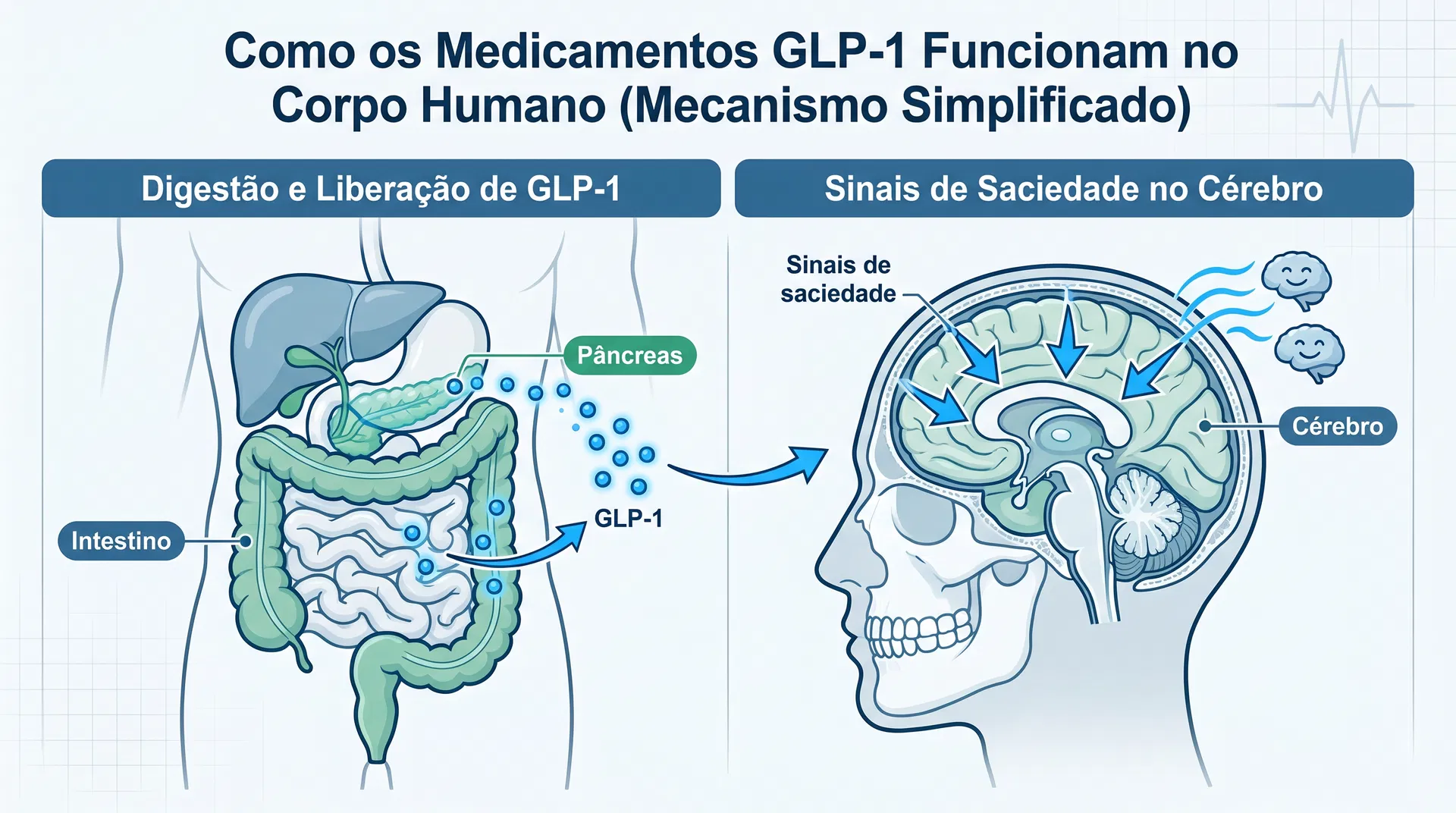 Infográfico mostrando como GLP-1 funciona no corpo
