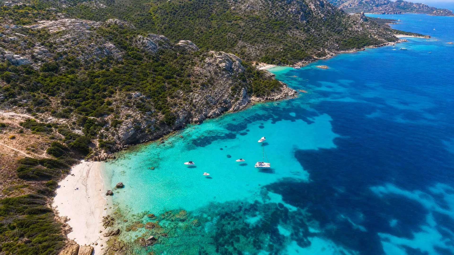 Oceani e Conservazione