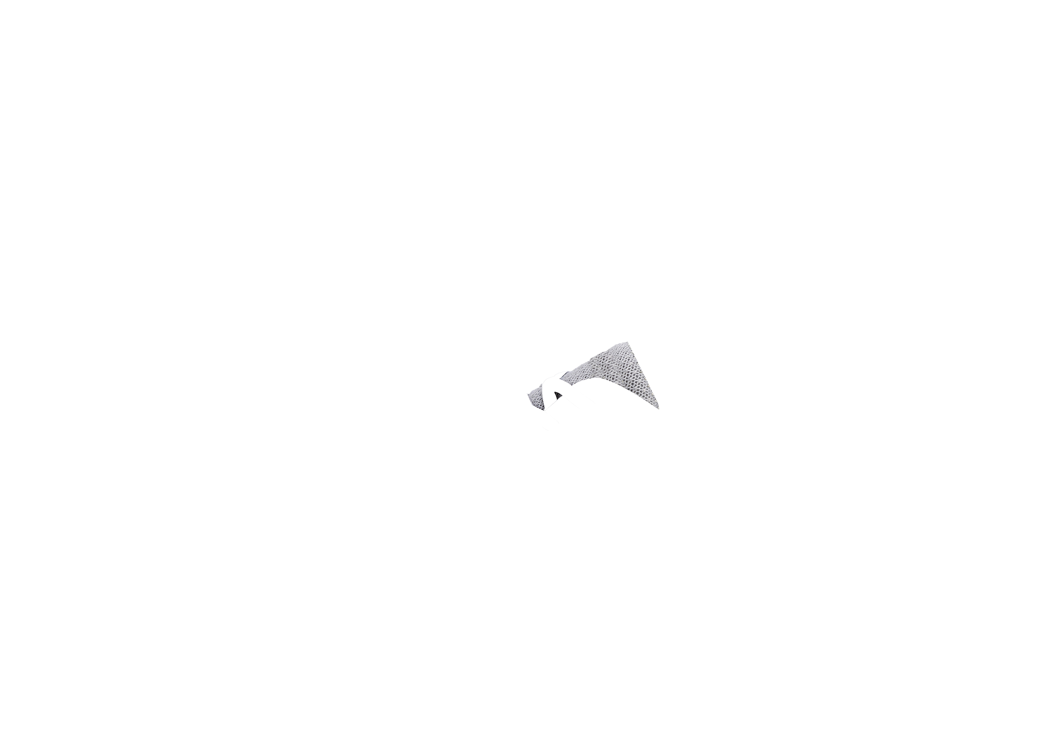 Tongue Mesh