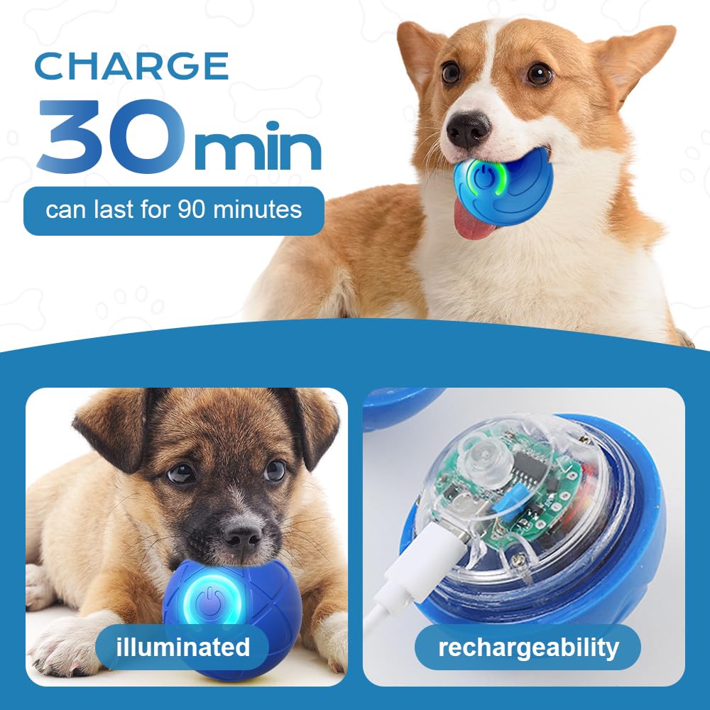 Bouncing dog toy ball