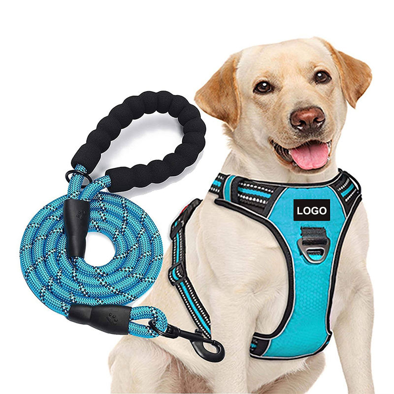 No-pull dog harness and black leather leash set 3