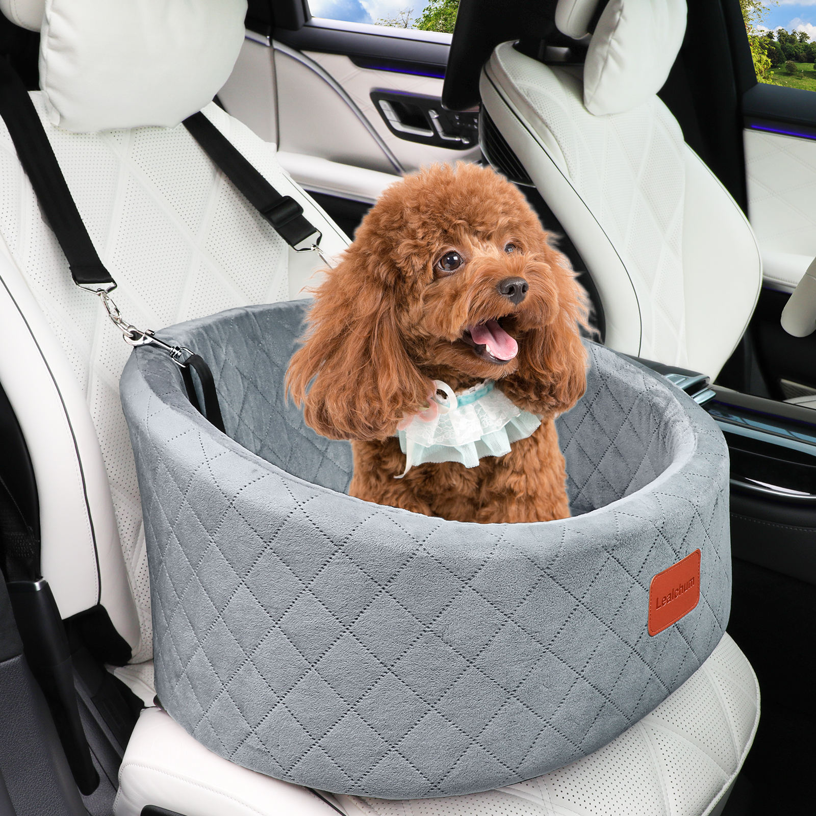 Car dog seat