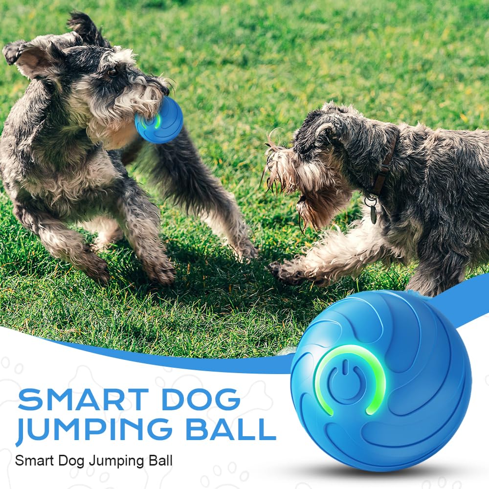Bouncing dog toy ball 3