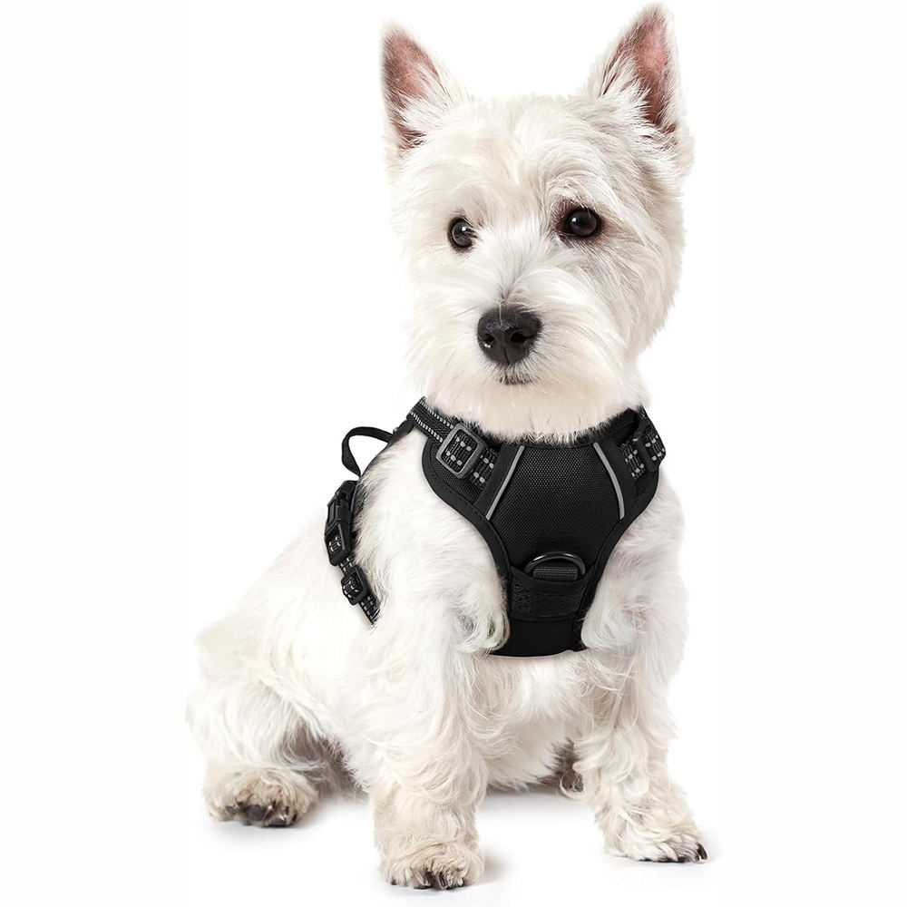 No-pull dog harness and black leather leash set 2