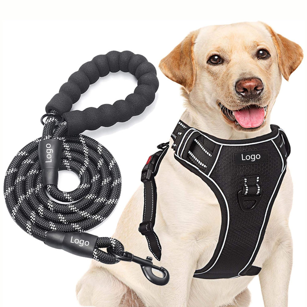 No-pull dog harness and black leather leash set