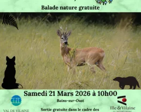 Salon des arts - Photo 3