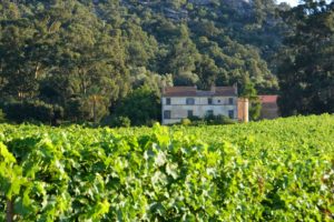 Biodyvin Paris - Photo 3