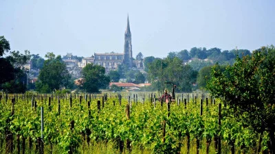 Bordeaux Révélé: Dégustation de Vins Naturels au Château Shuette