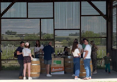Bordeaux Révélé: Dégustation de Vins Naturels au Château Shuette - Photo 2