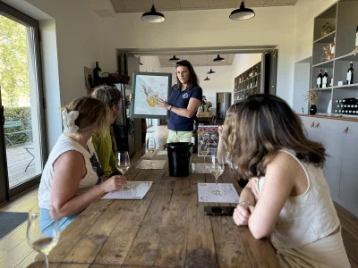 Bordeaux Révélé: Dégustation de Vins Naturels au Château Shuette - Photo 3
