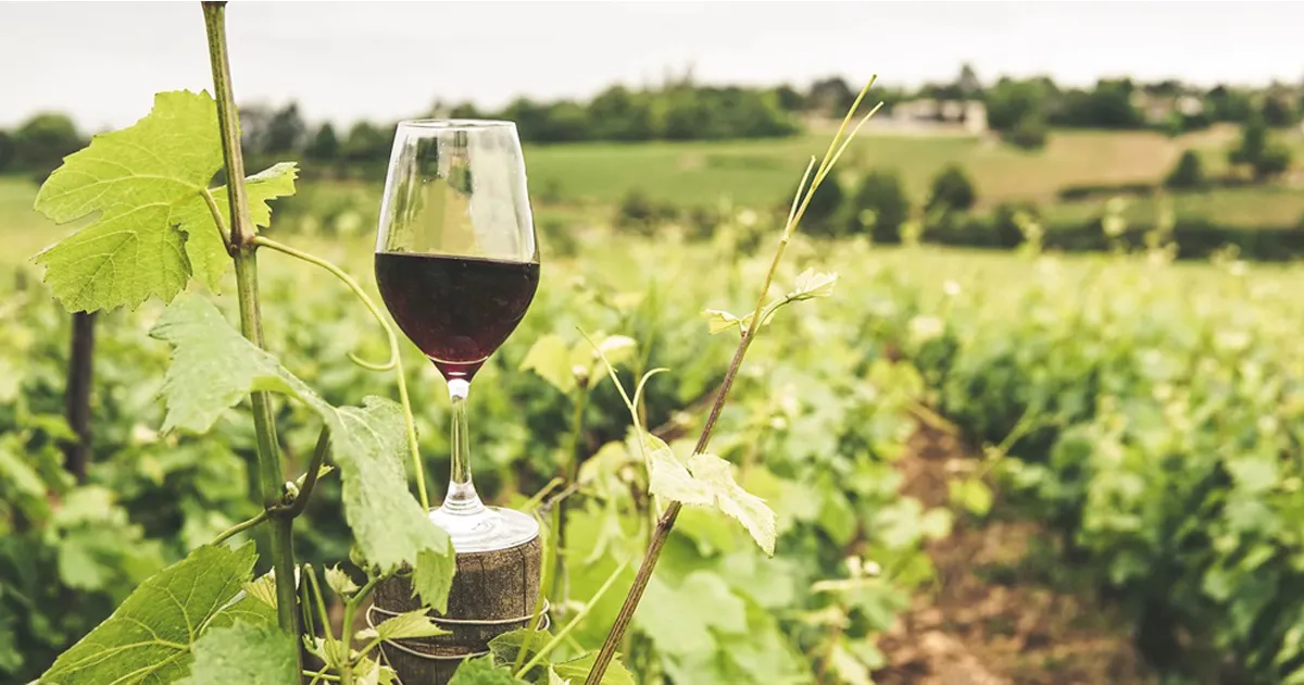 Concours des Vins St Crespin et Tillières