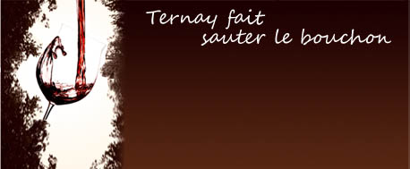 Croisée des vins à Ternay, salon vin, medievale Ternay