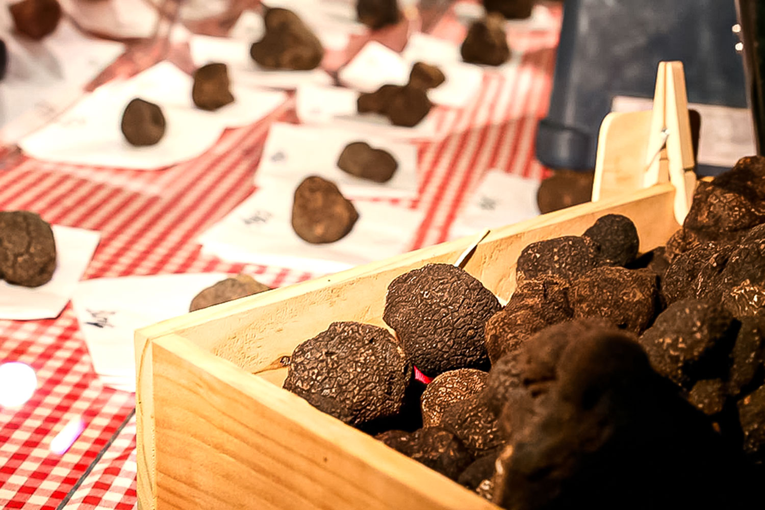 Dégustation de vins de l'AOP Duché d'Uzès et de mets truffés commenté - Photo 3