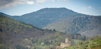 Événement VinSocialClub au Marcande (Gaillac, Tonnerre, Chemin Gourmand de Nuits-Saint-Georges) - Photo 2