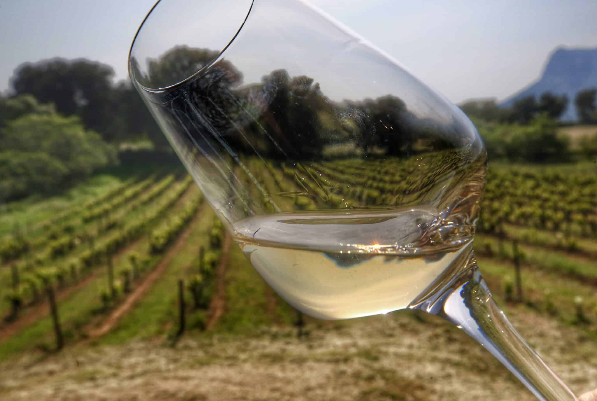 Fête du Vin d'Ajaccio