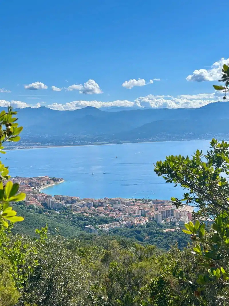 Fête du Vin d'Ajaccio - Photo 3