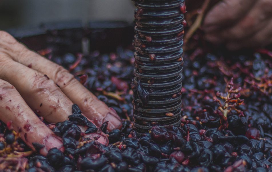 Fête du Vin de Gaillac - Photo 5