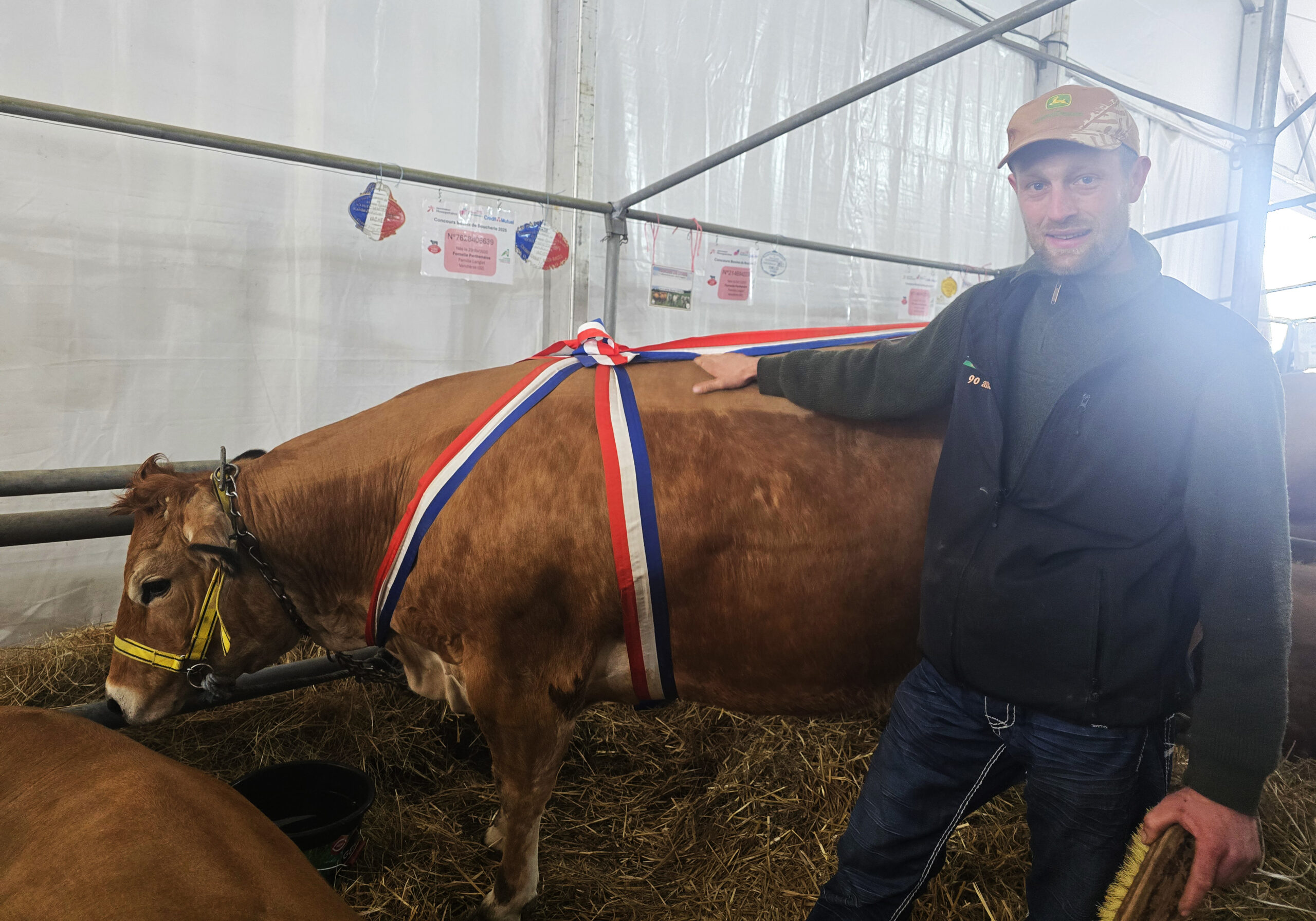 Foire aux Fromages et aux Vins de Coulommiers - Photo 3