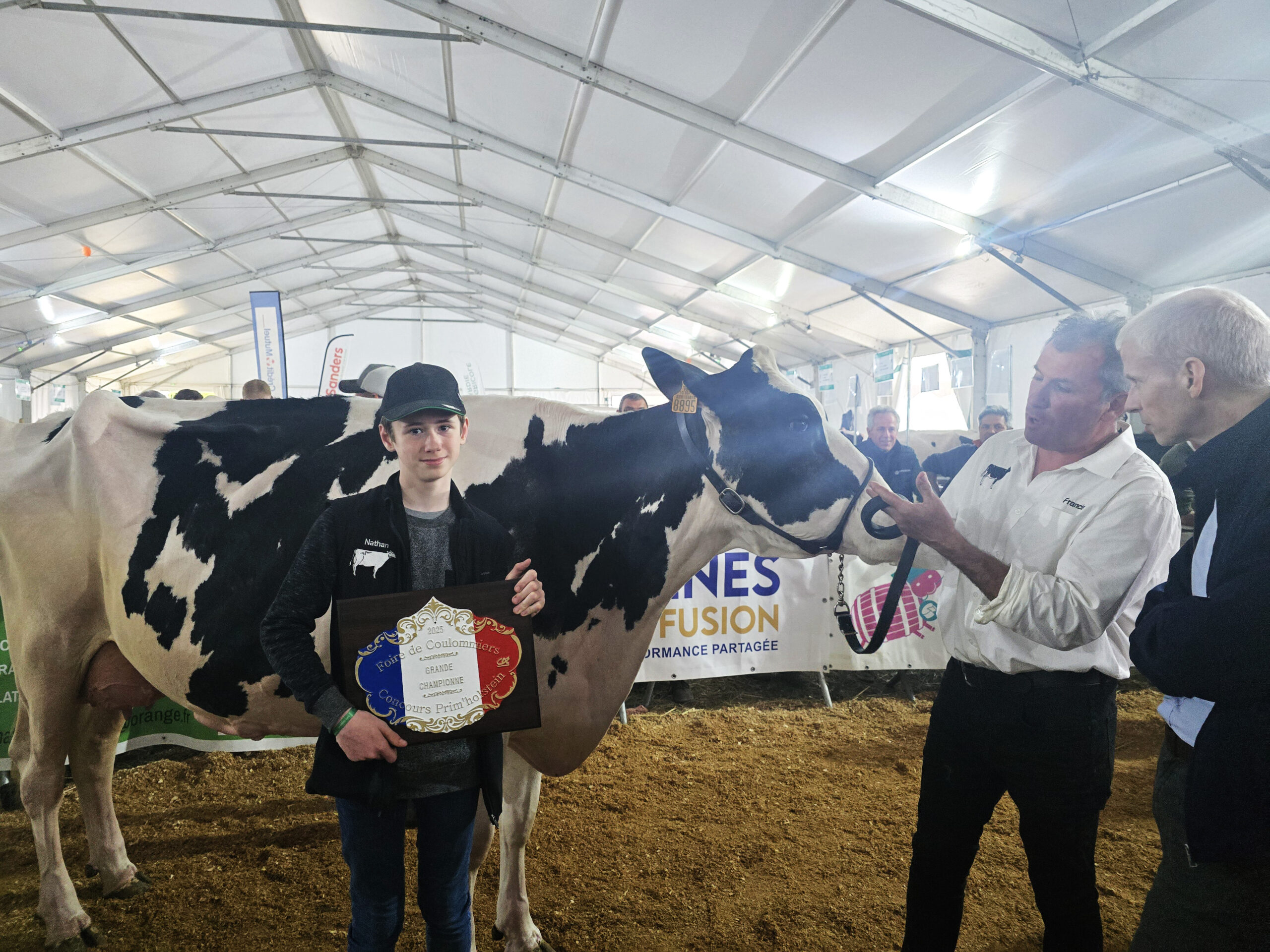 Foire aux Fromages et aux Vins de Coulommiers - Photo 5