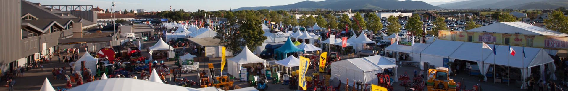 Foire aux Vins d'Alsace - Photo 4