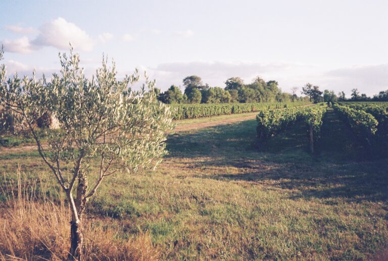 Hopwine - Le salon international des vins et spiritueux - Photo 4