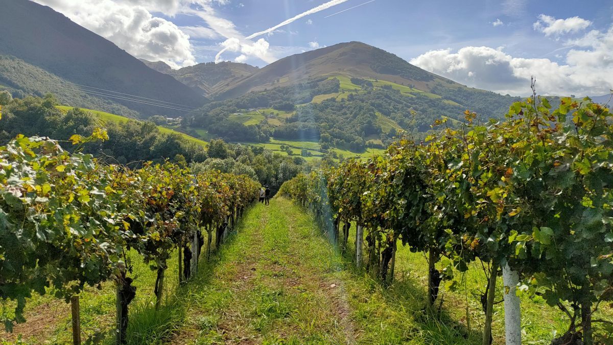 Salon Mer & Vigne de Prévessin-Moëns - Photo 2