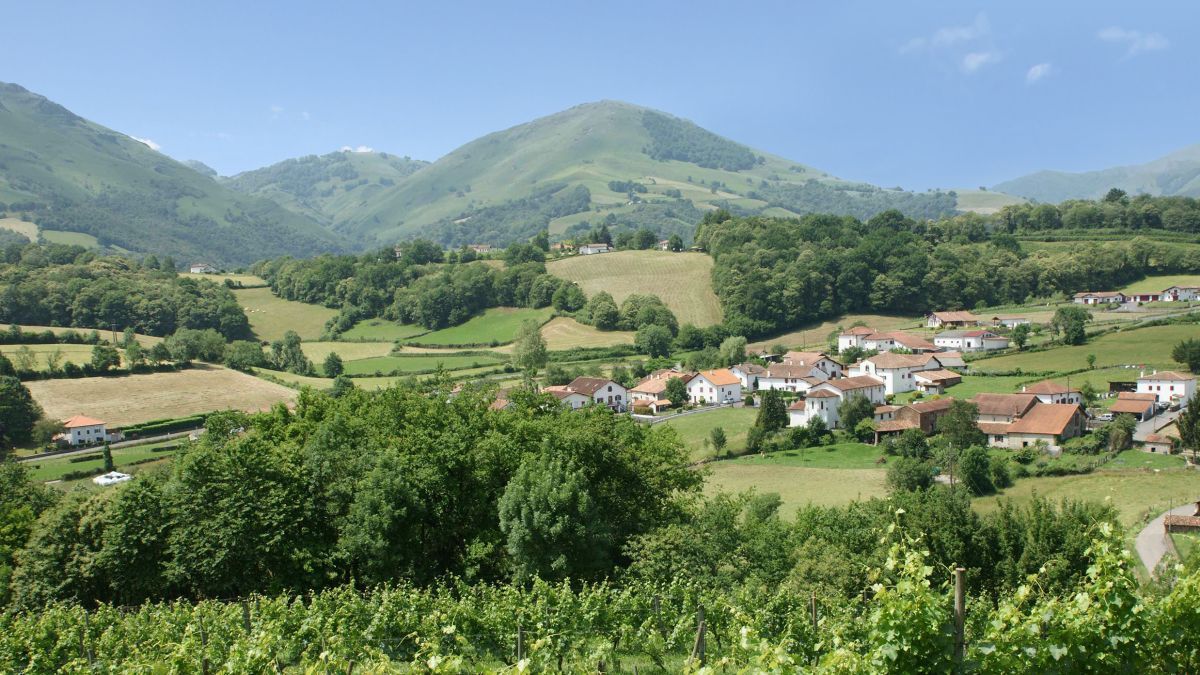 Salon Mer & Vigne de Prévessin-Moëns - Photo 3