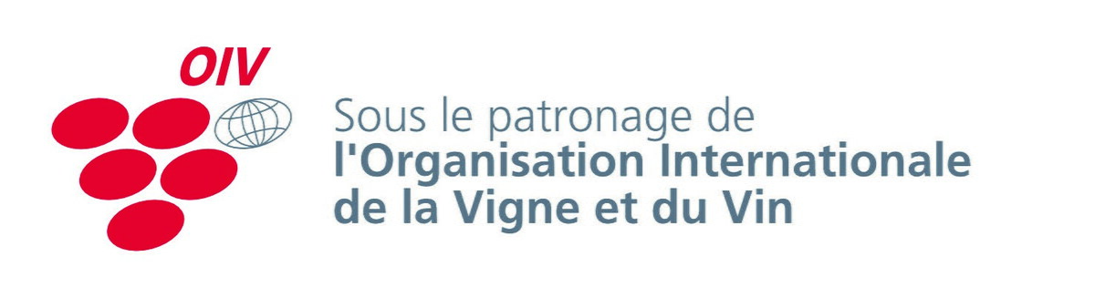 Mondial des Vins Blancs - Photo 3