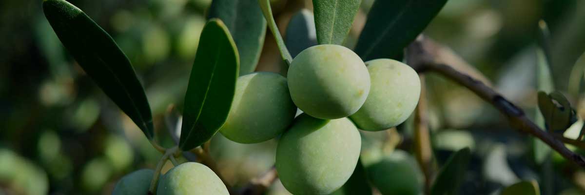 Salon oenolittéraire - Photo 2