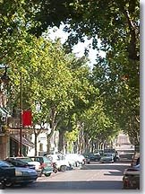 Fête de l'olivier et du vin - Photo 1