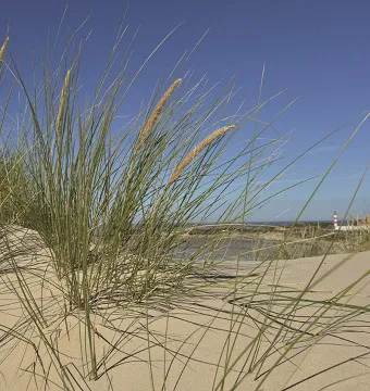 Foire ou salon - Photo 1