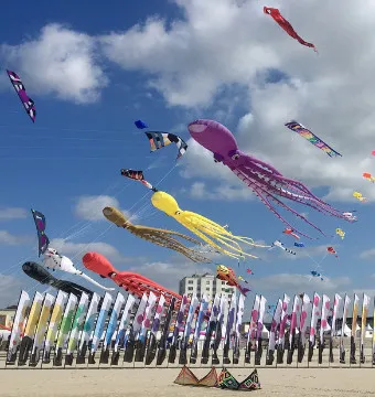 Foire ou salon - Photo 5