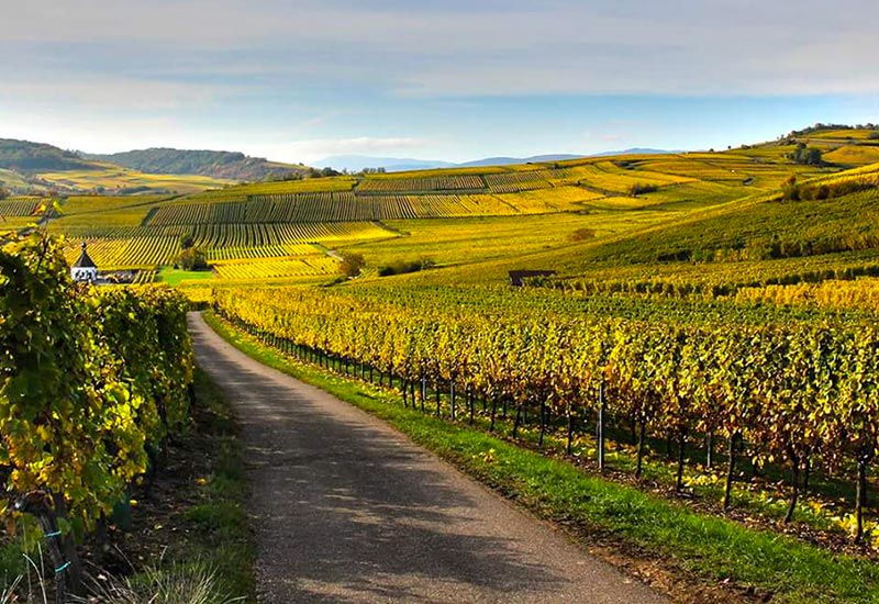SALON DE PAQUES à Soufflenheim - Vin Boehler - Photo 3