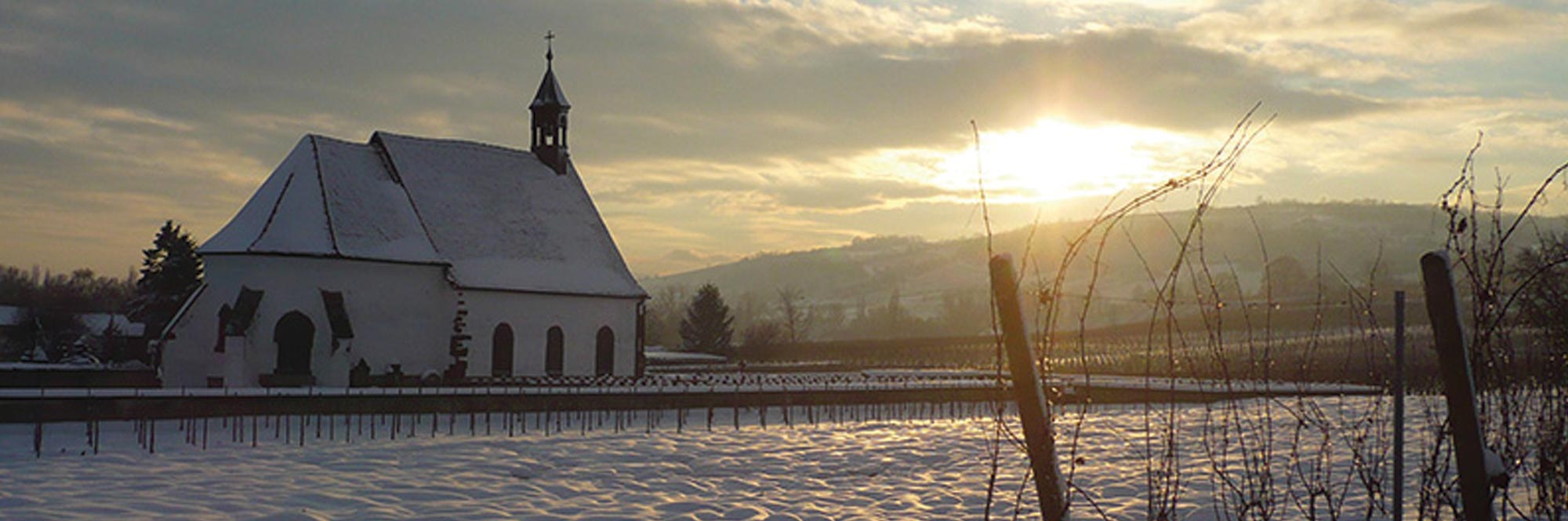 SALON DE PAQUES à Soufflenheim - Vin Boehler - Photo 5