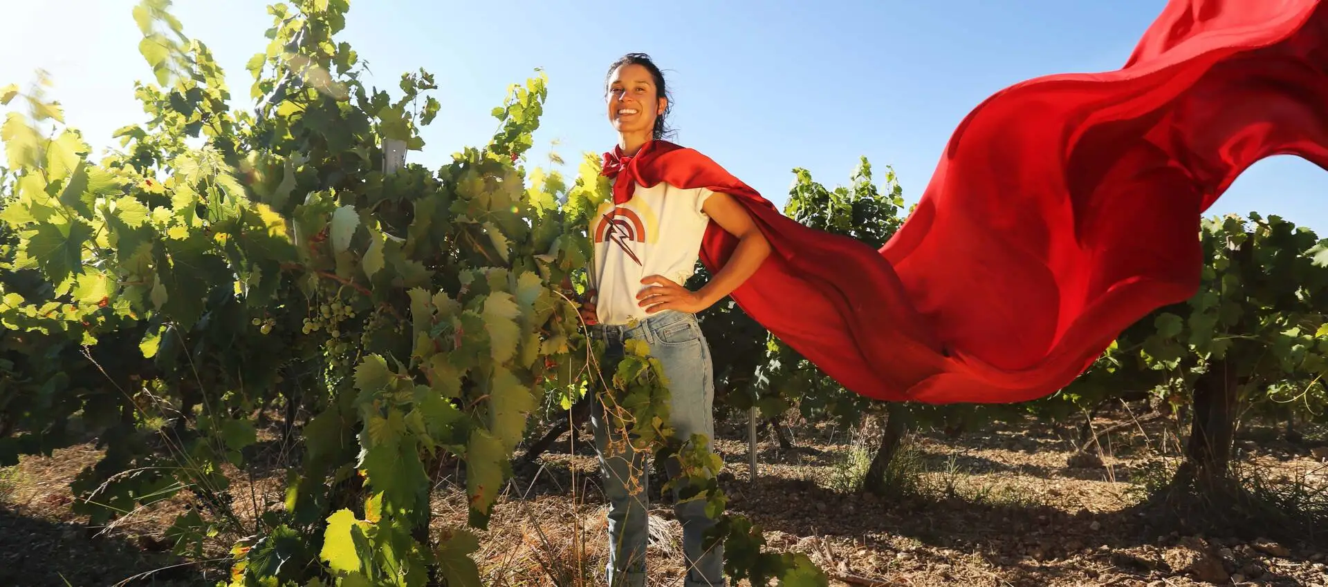 Pique-Nique chez le Vigneron Indépendant Alsace