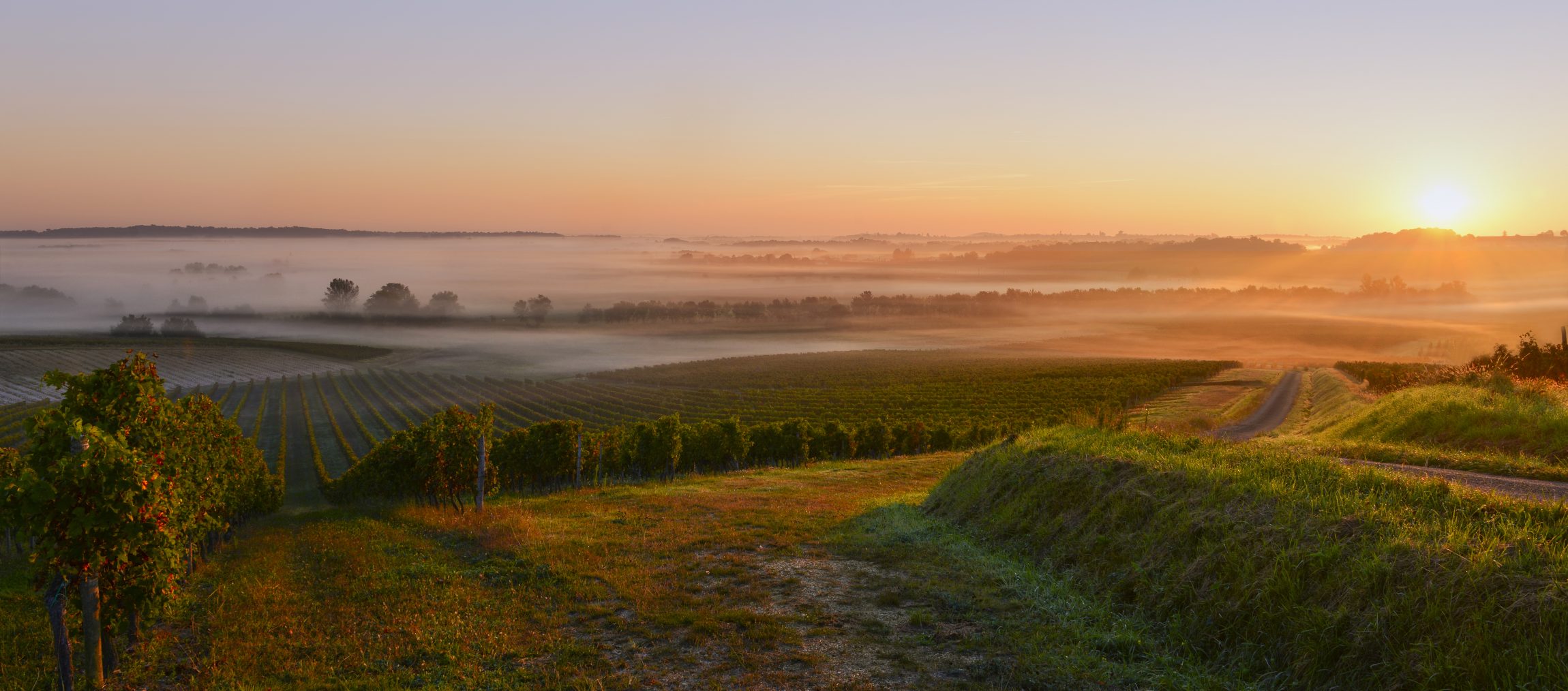 Portes Ouvertes Saint-Émilion - Photo 6