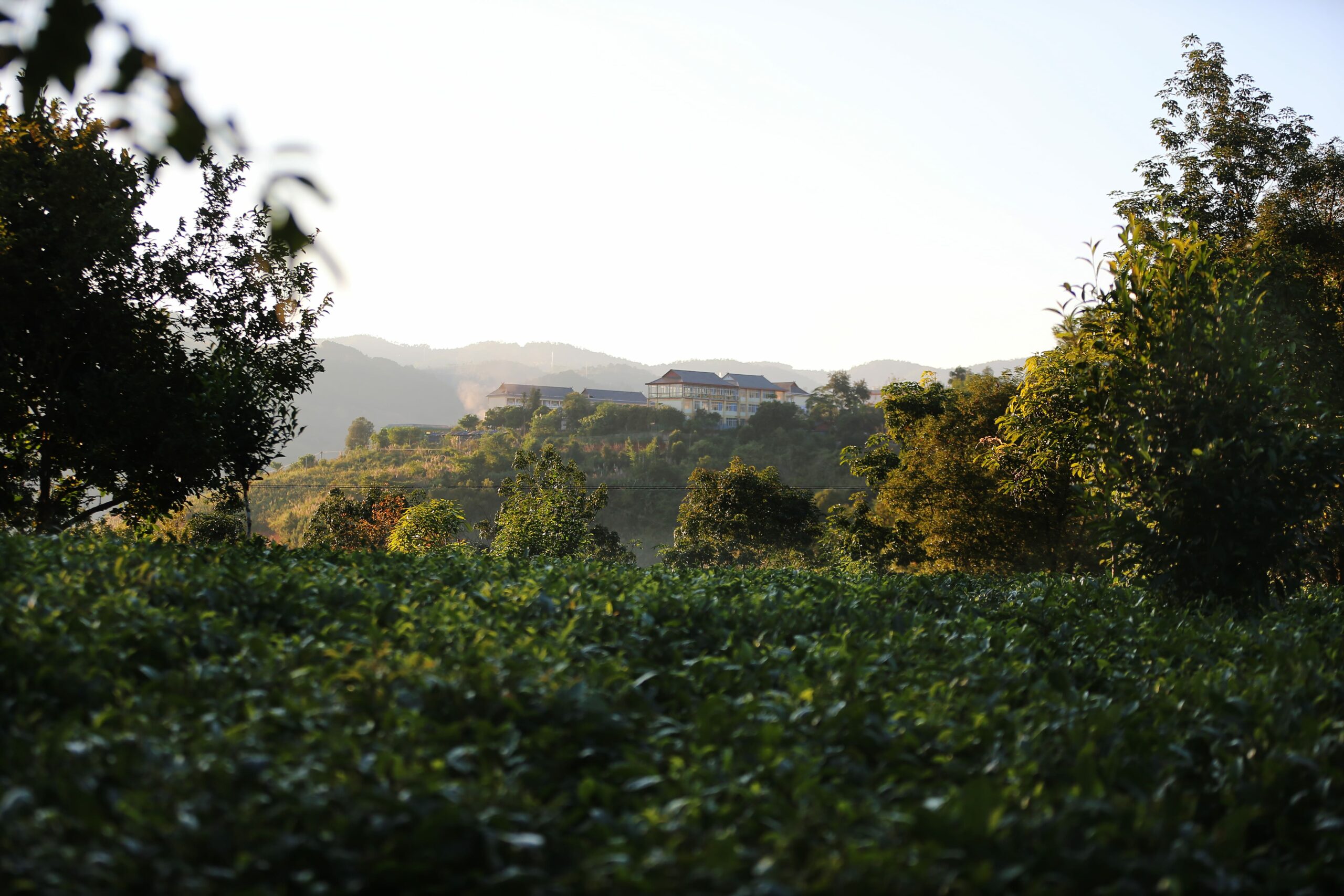 Portes Ouvertes Saint-Émilion