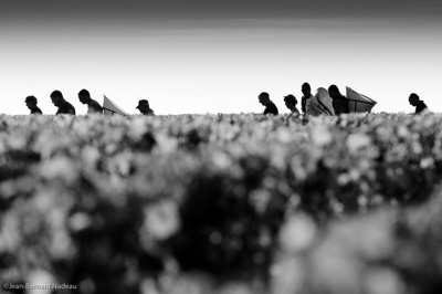 Portes Ouvertes Saint-Émilion - Photo 5