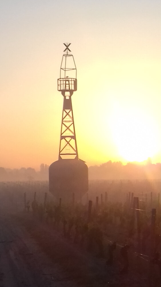 Printemps des Château en Médoc - Photo 3